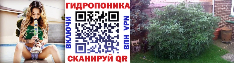 Сколько стоит Воронеж COCAIN Меф мяу мяу ОМГ ОМГ tor А ПВП АМФЕТАМИН Псилоцибиновые грибы Марихуана Гашиш