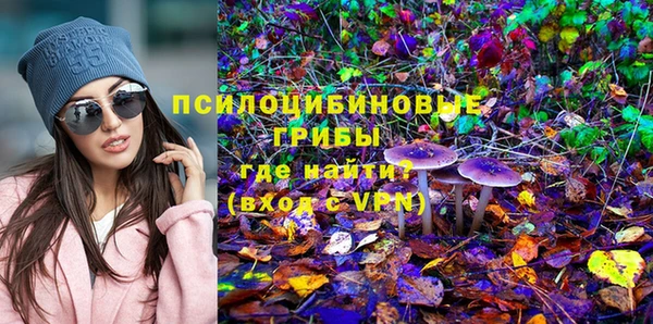 apvp Лагань