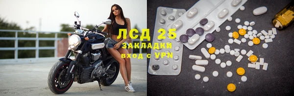 ПСИЛОЦИБИНОВЫЕ ГРИБЫ Абинск