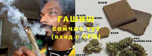 дмт Абаза