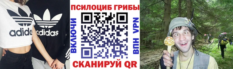 Псилоцибиновые грибы мухоморы  цена наркотик  Воронеж 